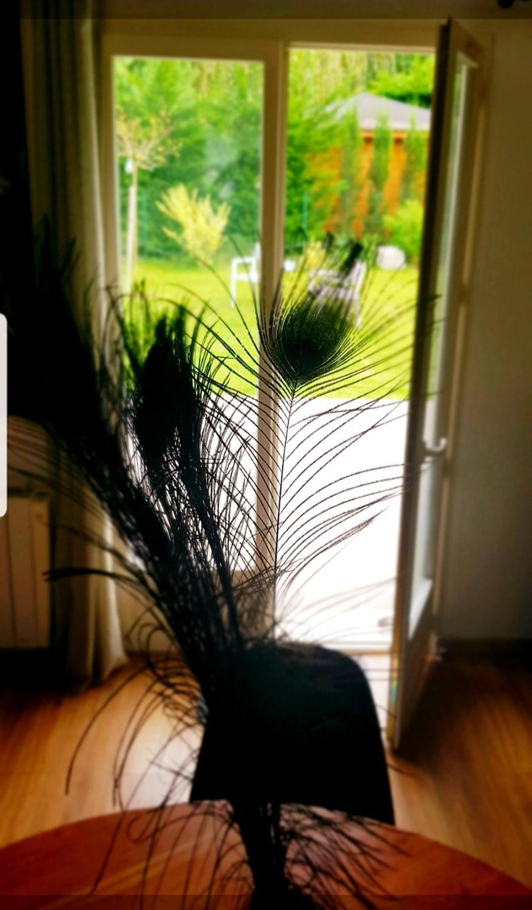 Maison Gasha Lägenhet Senlis  Exteriör bild